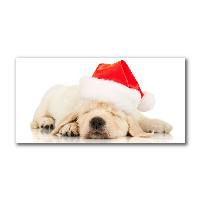 Canvas print Puppy Santa Hat Winter