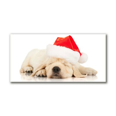 Canvas print Puppy Santa Hat Winter