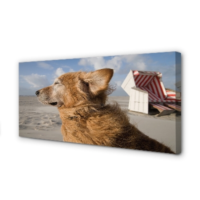 Canvas print Brown dog beach