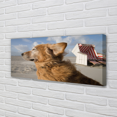 Canvas print Brown dog beach