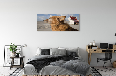 Canvas print Brown dog beach