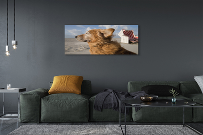 Canvas print Brown dog beach