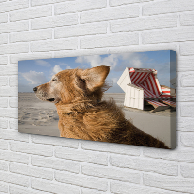 Canvas print Brown dog beach