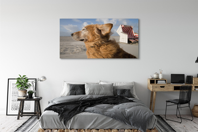 Canvas print Brown dog beach