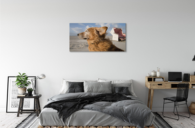 Canvas print Brown dog beach