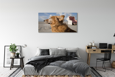 Canvas print Brown dog beach