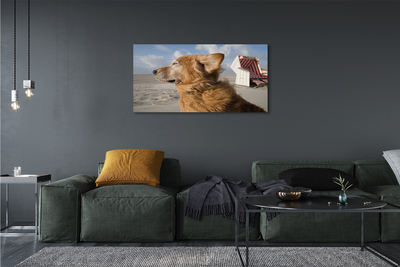 Canvas print Brown dog beach