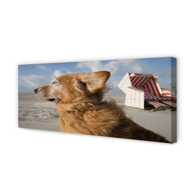 Canvas print Brown dog beach