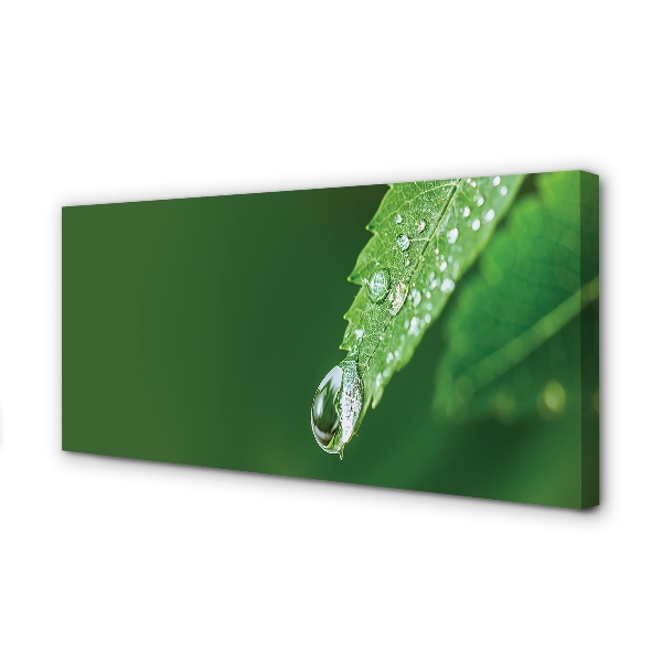 Canvas print Water drop leaf