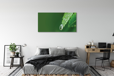 Canvas print Water drop leaf