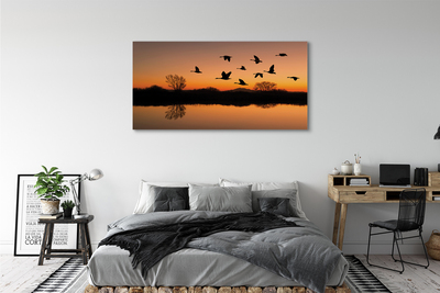 Canvas print Sunset flying birds