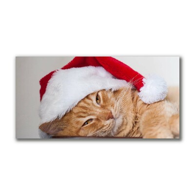 Canvas print Cat Santa Hat Christmas