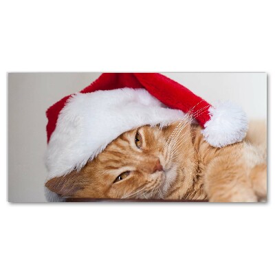 Canvas print Cat Santa Hat Christmas