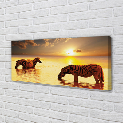 Canvas print Sunset water zebras