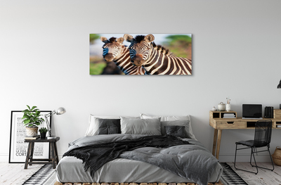 Canvas print Zebra
