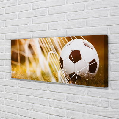 Canvas print The yellow ball grass background