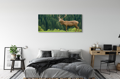 Canvas print Common deer in the field