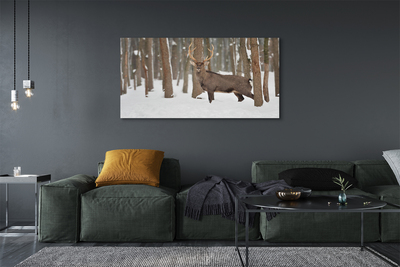 Canvas print Deer winter forest