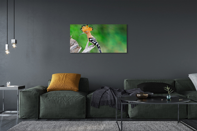 Canvas print Colorful parrot tree