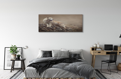 Canvas print Wolf mountain