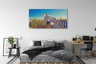 Canvas print Zebra flowers