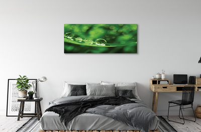 Canvas print Water drops macro