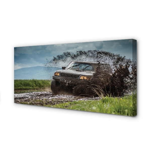 Canvas print Car wolkenberge field