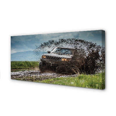 Canvas print Car wolkenberge field