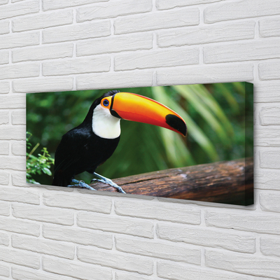 Canvas print Toucan on a branch