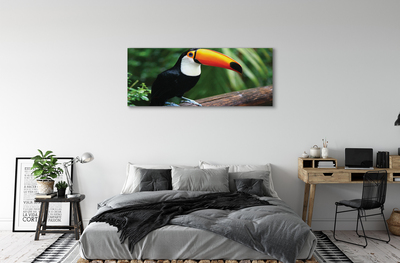 Canvas print Toucan on a branch