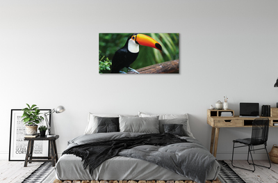 Canvas print Toucan on a branch