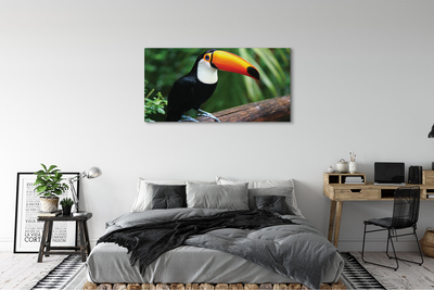 Canvas print Toucan on a branch