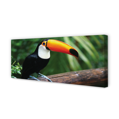 Canvas print Toucan on a branch