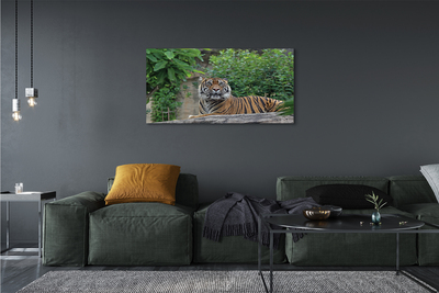 Canvas print Tiger woods