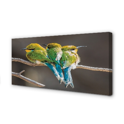 Canvas print Birds on a branch