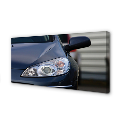 Canvas print Black car