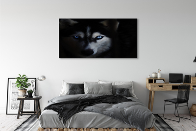Canvas print Wolf eyes
