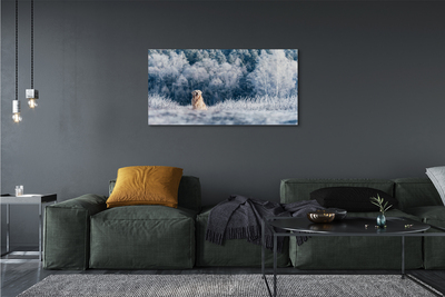 Canvas print Winter mountain dog