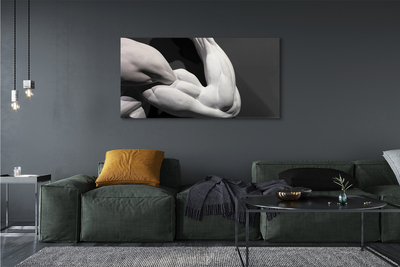 Canvas print Black and white muscle