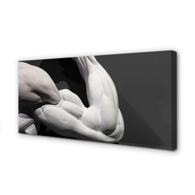 Canvas print Black and white muscle