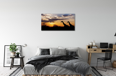 Canvas print Clouds girafes wave