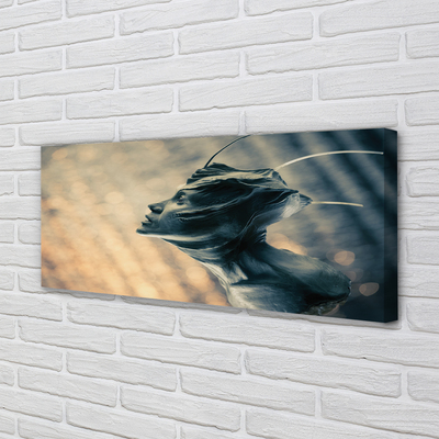 Canvas print The shape of the head