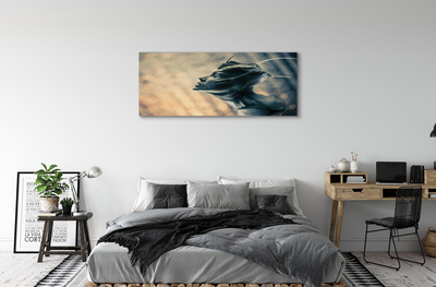 Canvas print The shape of the head