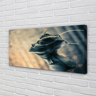 Canvas print The shape of the head