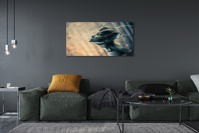 Canvas print The shape of the head