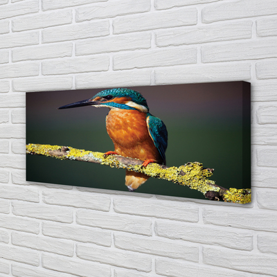 Canvas print Colored bird on a branch