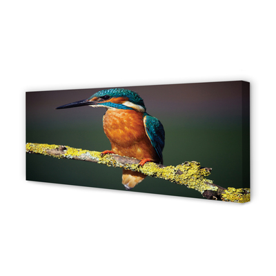 Canvas print Colored bird on a branch
