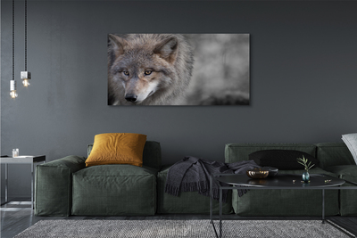 Canvas print Wolf