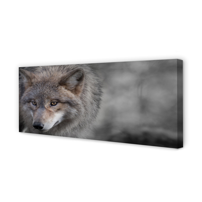 Canvas print Wolf
