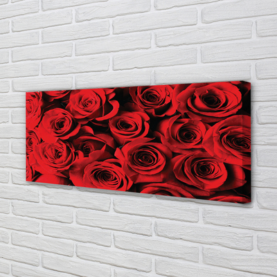 Canvas print Roses